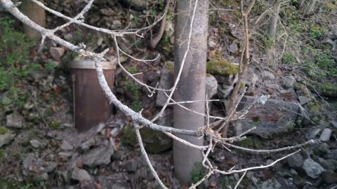 Corbyville Distiillery photo 2