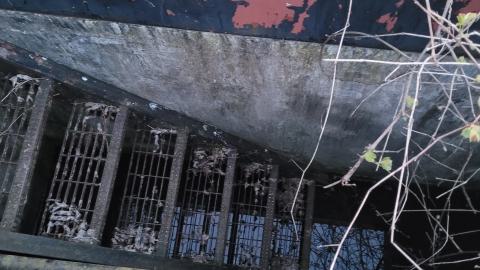 Corbyville Distiillery photo 3