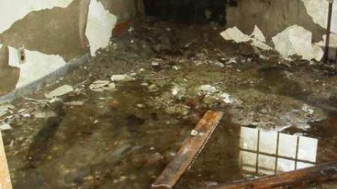 March 2012 - SAM_4490.jpg