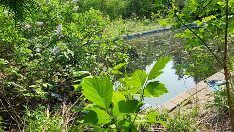 No entry, no interest - 20230517_155355.jpg