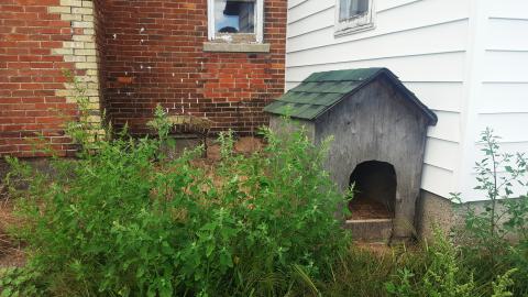 100 Years of History - September 2016 - 32.jpg