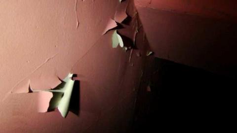 Nice and Quiet - Limehouse-Farm46.jpg