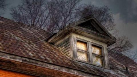 Nice and Quiet - Limehouse-Farm51.jpg