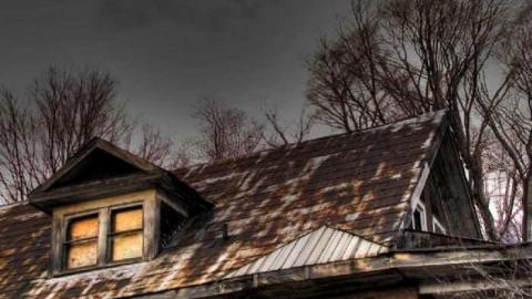 Nice and Quiet - Limehouse-Farm52.jpg