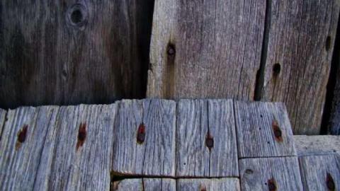 Nice and Quiet - Limehouse-Farm57.jpg