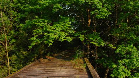 Old Train Bridge - Huron East, Ontario