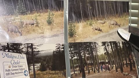 Spooky House - IMG_6712.jpg