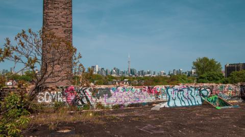 A Linseed Kind Of Day - linseeeed-1.jpg