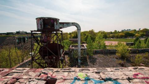 A Linseed Kind Of Day - linseeeed-3.jpg