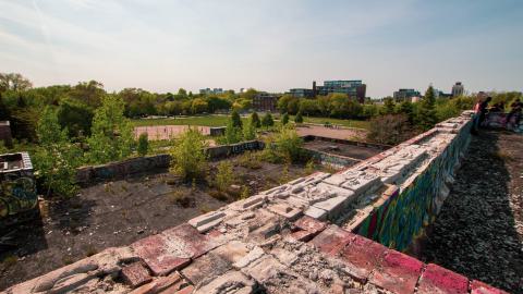 A Linseed Kind Of Day - linseeeed-4.jpg