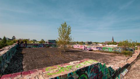 A Linseed Kind Of Day - linseeeed-5.jpg