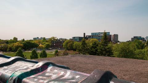 A Linseed Kind Of Day - linseeeed-6.jpg