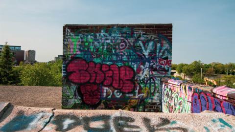 A Linseed Kind Of Day - linseeeed-7.jpg