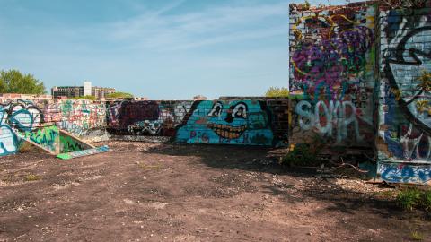 A Linseed Kind Of Day - linseeeed-8.jpg