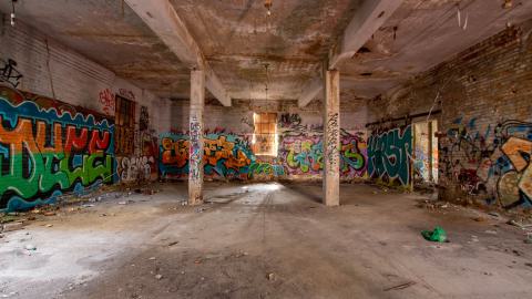 A Linseed Kind Of Day - linseeeed-9.jpg