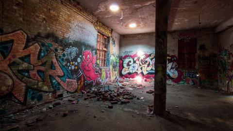 A Linseed Kind Of Day - linseeeed-10.jpg