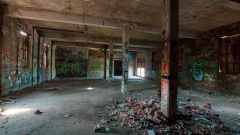 A Linseed Kind Of Day - linseeeed-11.jpg