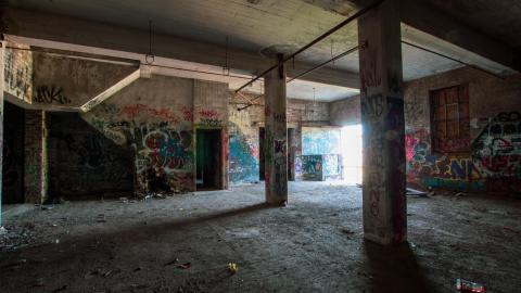 A Linseed Kind Of Day - linseeeed-15.jpg