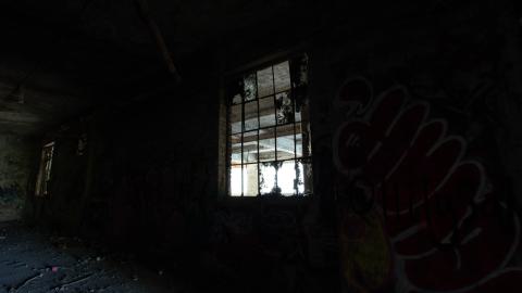 A Linseed Kind Of Day - linseeeed-16.jpg