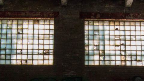 A Linseed Kind Of Day - linseeeed-18.jpg