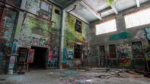 A Linseed Kind Of Day - linseeeed-20.jpg