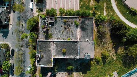 A Linseed Kind Of Day - linseeeed-21.jpg