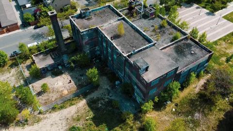 A Linseed Kind Of Day - linseeeed-23.jpg