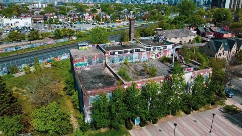 A Linseed Kind Of Day - linseeeed-22.jpg