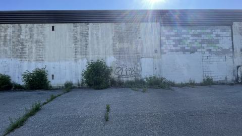 Photo from Flea market