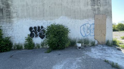 Flea market - IMG_1299.jpeg