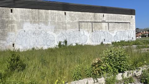 Photo from Flea market