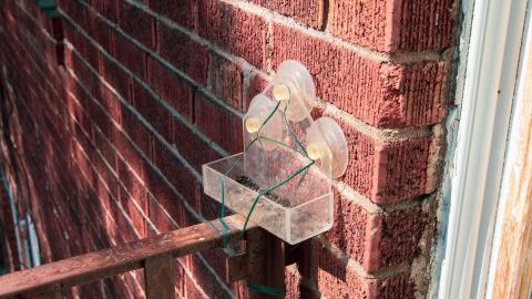 Downstairs Dweller - doubleduplex-81.jpg