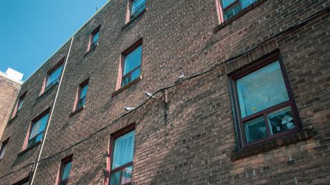 Downstairs Dweller - doubleduplex-84.jpg