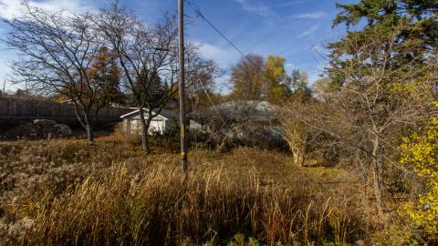 Nothing Special - IMG_3306.JPG