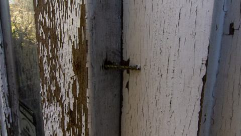 Nothing Special - IMG_3309.JPG