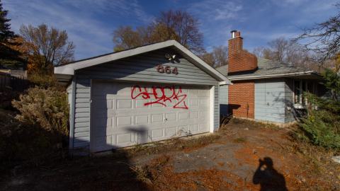 Nothing Special - IMG_3310.JPG