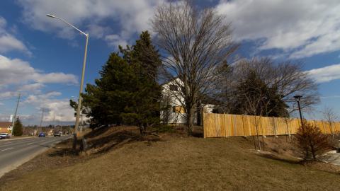 Disenchanted - IMG_4001.JPG