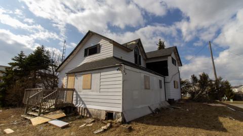 Disenchanted - IMG_4003.JPG