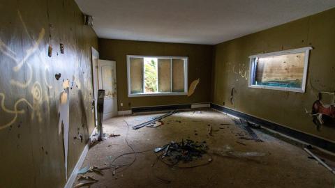 Disenchanted - IMG_4007.JPG