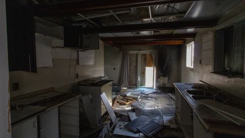 Disenchanted - IMG_4009.JPG