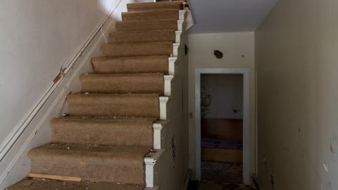 Disenchanted - IMG_4012.JPG