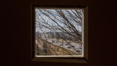 Disenchanted - IMG_4015.JPG