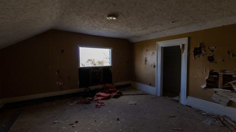 Disenchanted - IMG_4018.JPG