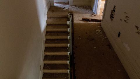 Disenchanted - IMG_4019.JPG