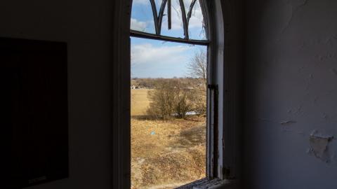 Disenchanted - IMG_4020.JPG