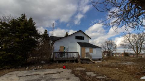 Disenchanted - IMG_4028.JPG