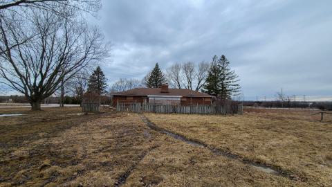 Meh - 20230401_152611.JPG