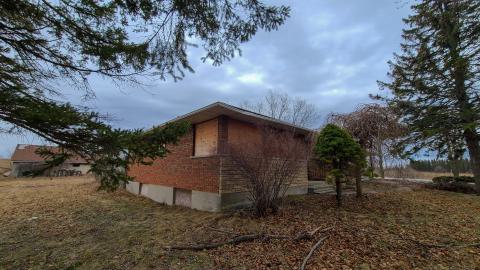 Meh - 20230401_152846.JPG