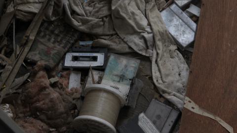 Tick paradise - IMG_3872.JPG