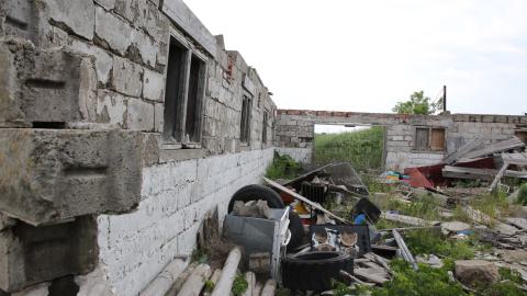 Tick paradise - IMG_3881.JPG